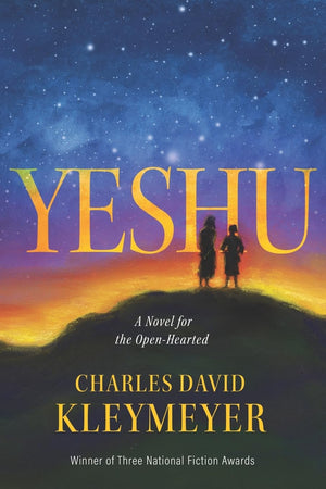 Yeshu: A Novel for the OpenHearted,Used