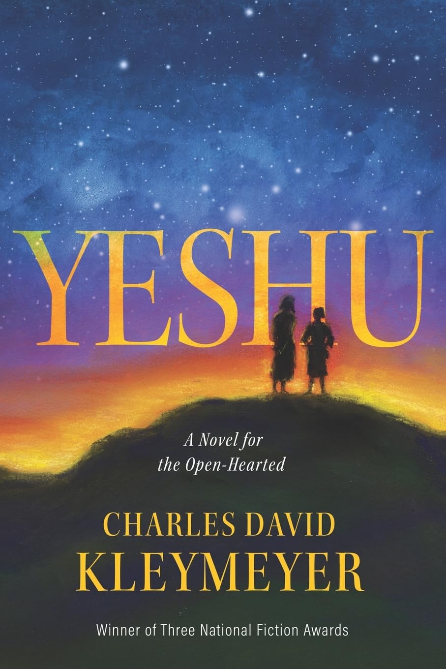 Yeshu: A Novel for the OpenHearted,Used
