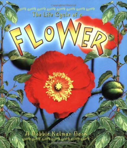 The Life Cycle of a Flower,Used
