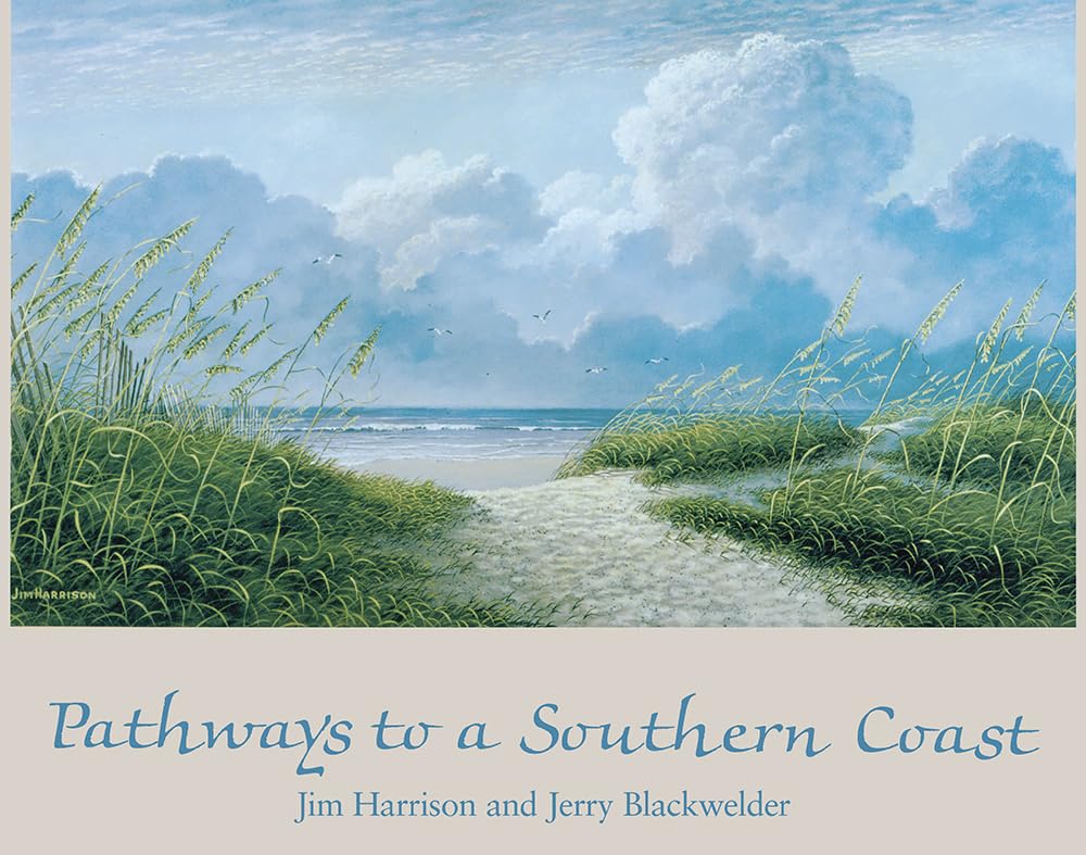 Pathways to a Southern Coast,Used