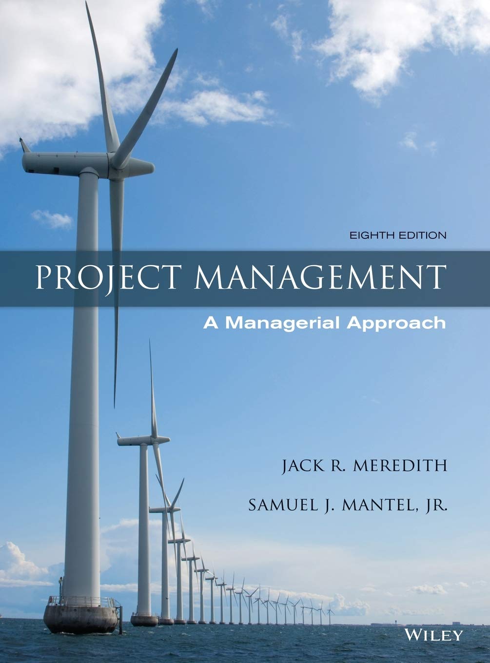 Project Management: A Managerial Approach,New
