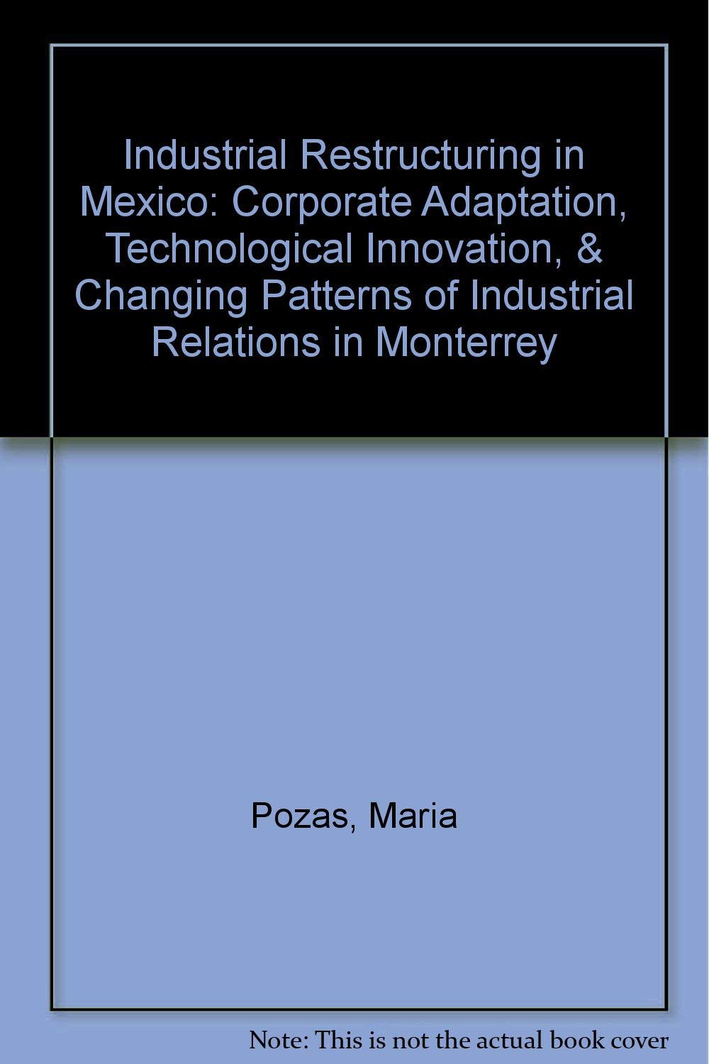 Industrial Restructuring in Mexico: Corporate Adaptation, Technological Innovation, & Changing Patterns of Industrial Relations ,Used