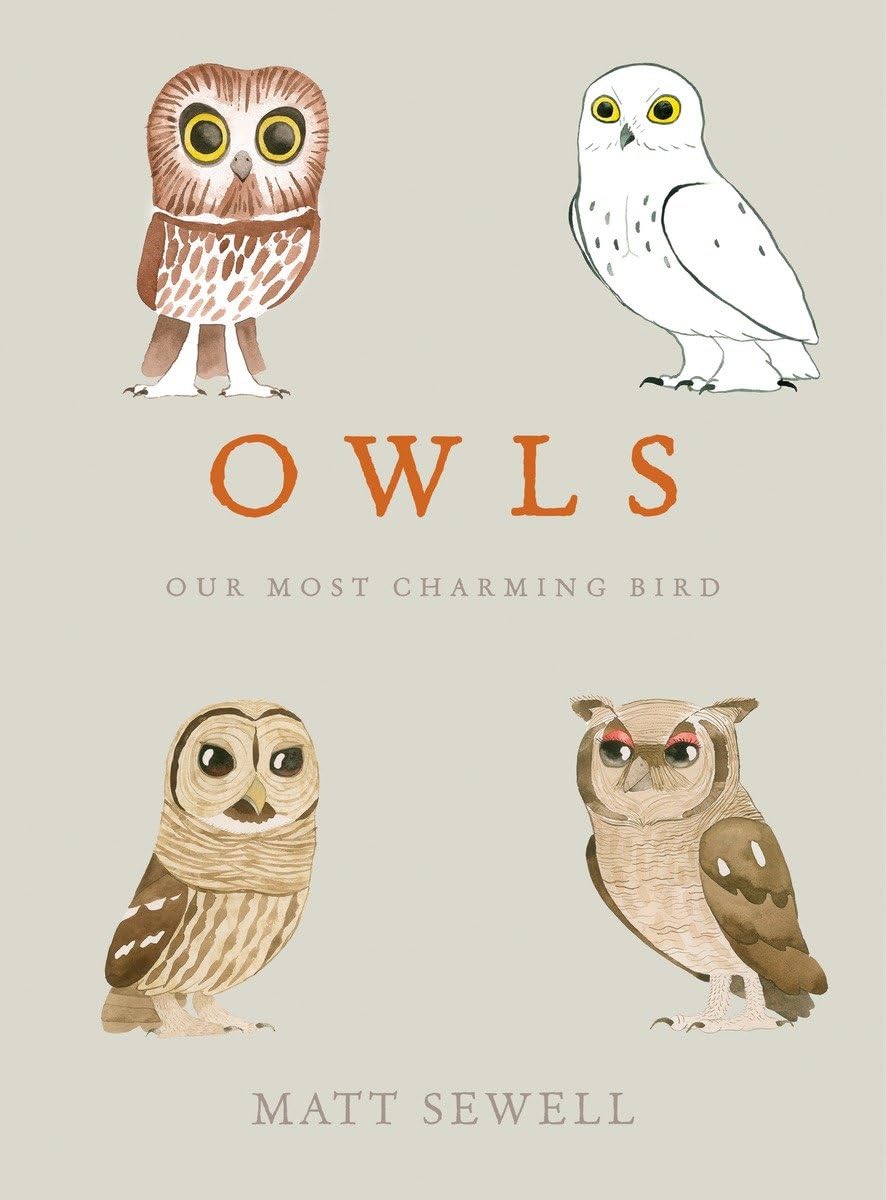 Owls: Our Most Charming Bird,Used