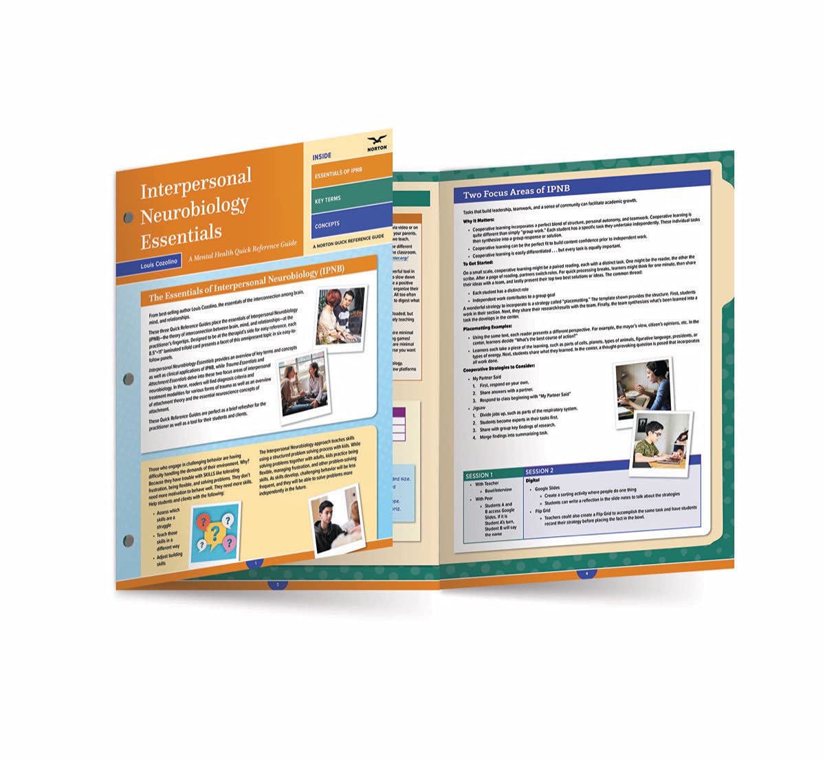 Interpersonal Neurobiology Essentials: A Mental Health Quick Reference Guide (Norton Series on Interpersonal Neurobiology),New