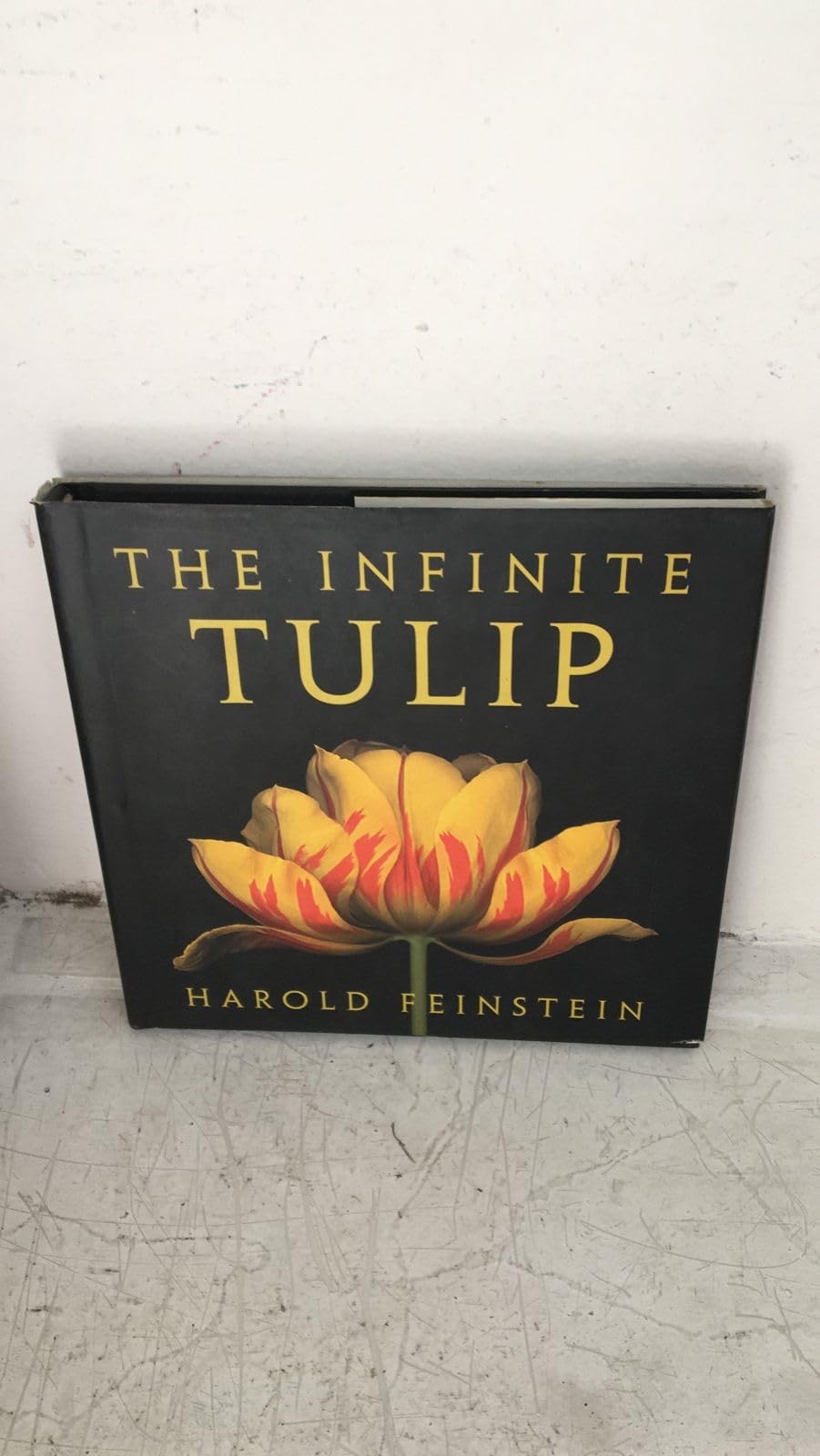 The Infinite Tulip,Used