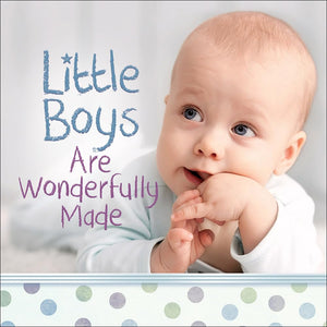 Little Boys Are Wonderfully Made,Used