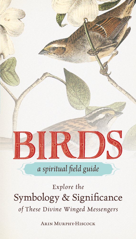 Birds  A Spiritual Field Guide: Explore the Symbology and Significance of These Divine Winged Messengers,Used