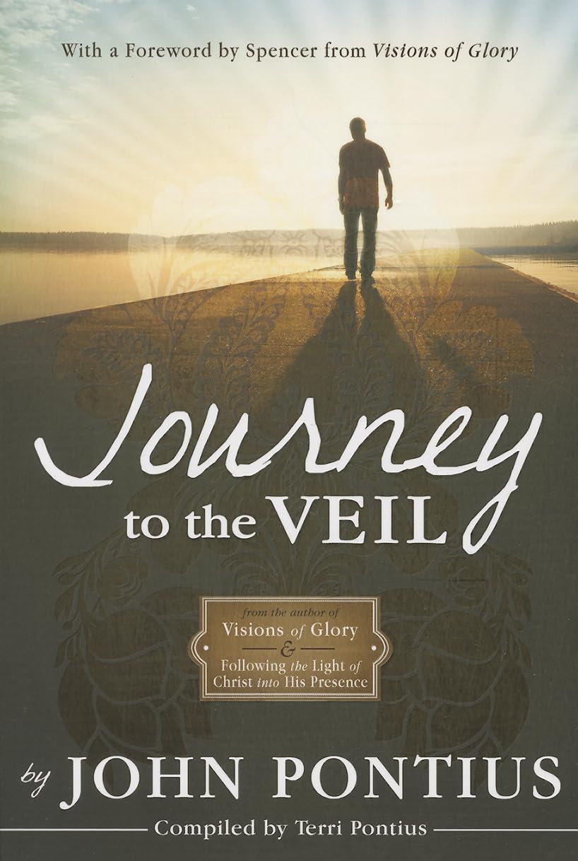 Journey to the Veil [Paperback] John Pontius,Used