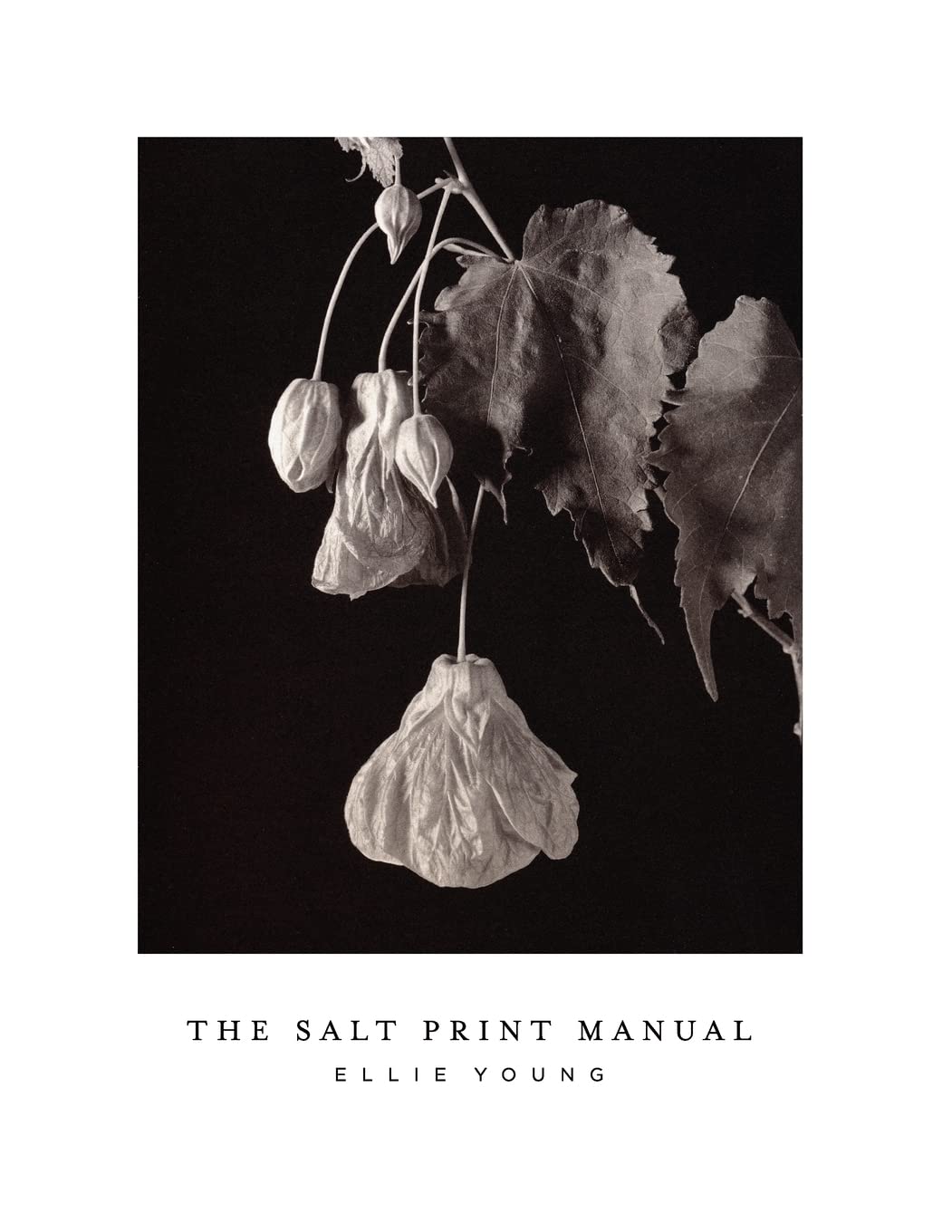 The Salt Print Manual,Used