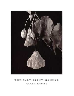 The Salt Print Manual,Used