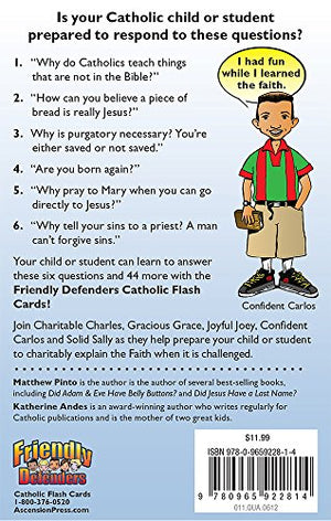 Friendly Defenders: Catholic Flash Cards-used