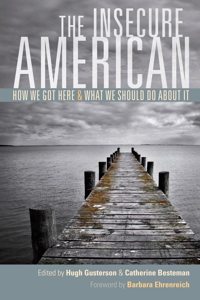 Insecure American: How We Got Here And What We Should Do About It,New