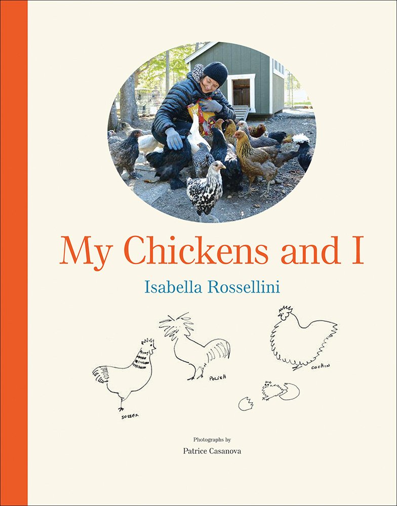 My Chickens and I,Used
