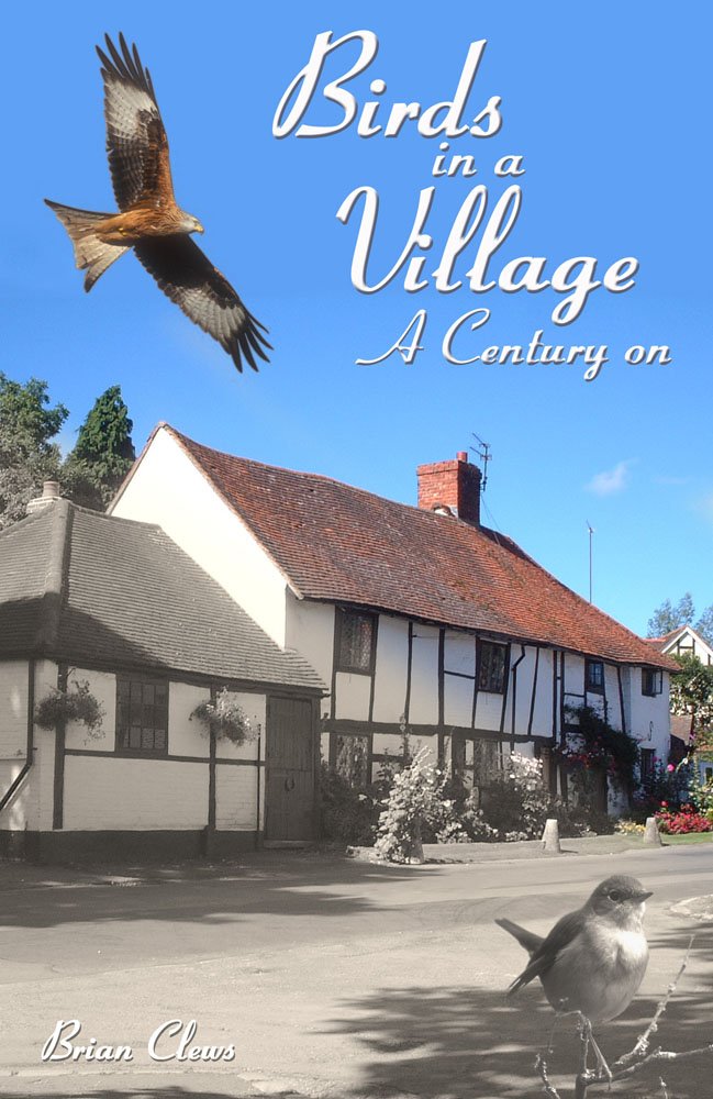 Birds In A Village: A Century On,Used