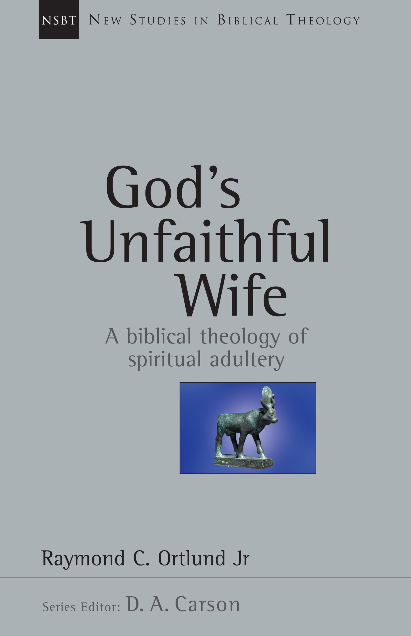 God's Unfaithful Wife: A Biblical Theology of Spiritual Adultery (Volume 2) (New Studies in Biblical Theology),Used