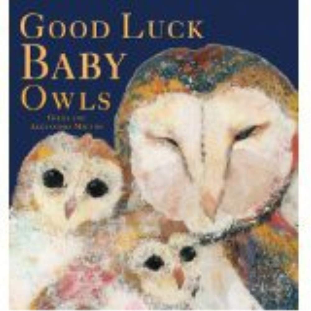 Good Luck Baby Owls,Used