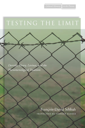Testing The Limit: Derrida, Henry, Levinas, And The Phenomenological Tradition (Cultural Memory In The Present),Used