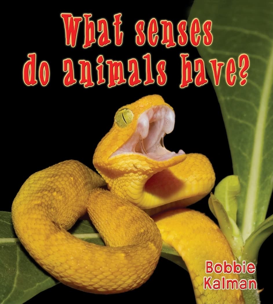 What Senses Do Animals Have? (Big Science Ideas),Used