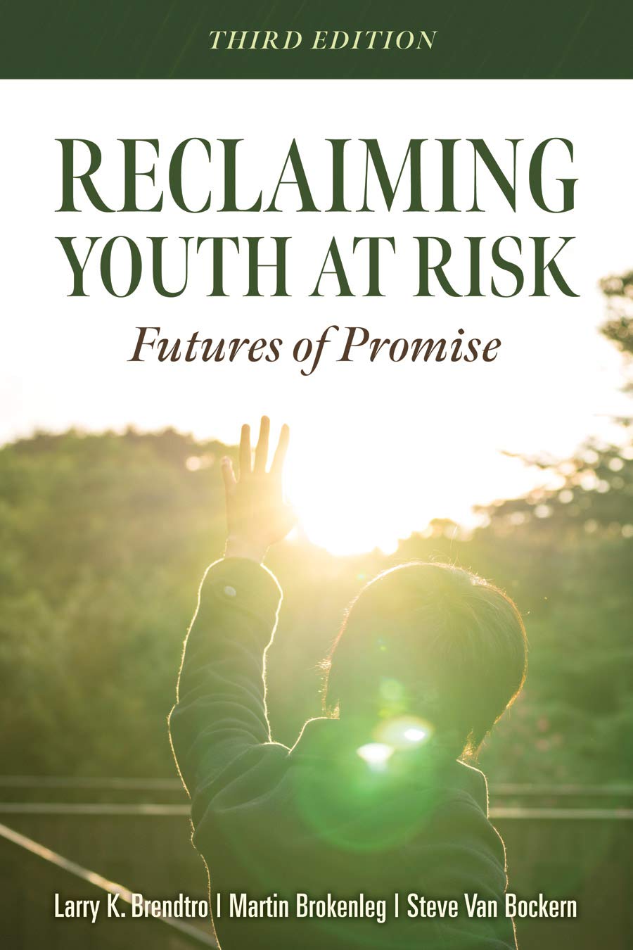 Reclaiming Youth at Risk: Futures of Promise (Reach Alienated Youth and Break the Conflict Cycle Using the Circle of Courage),Used