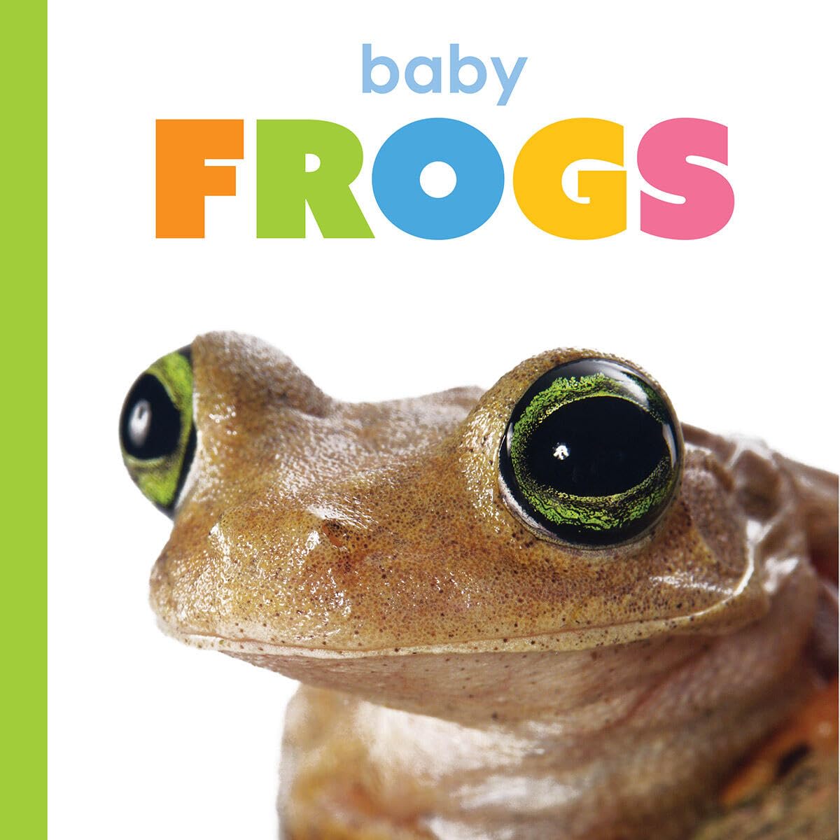Baby Frogs (Starting Out)