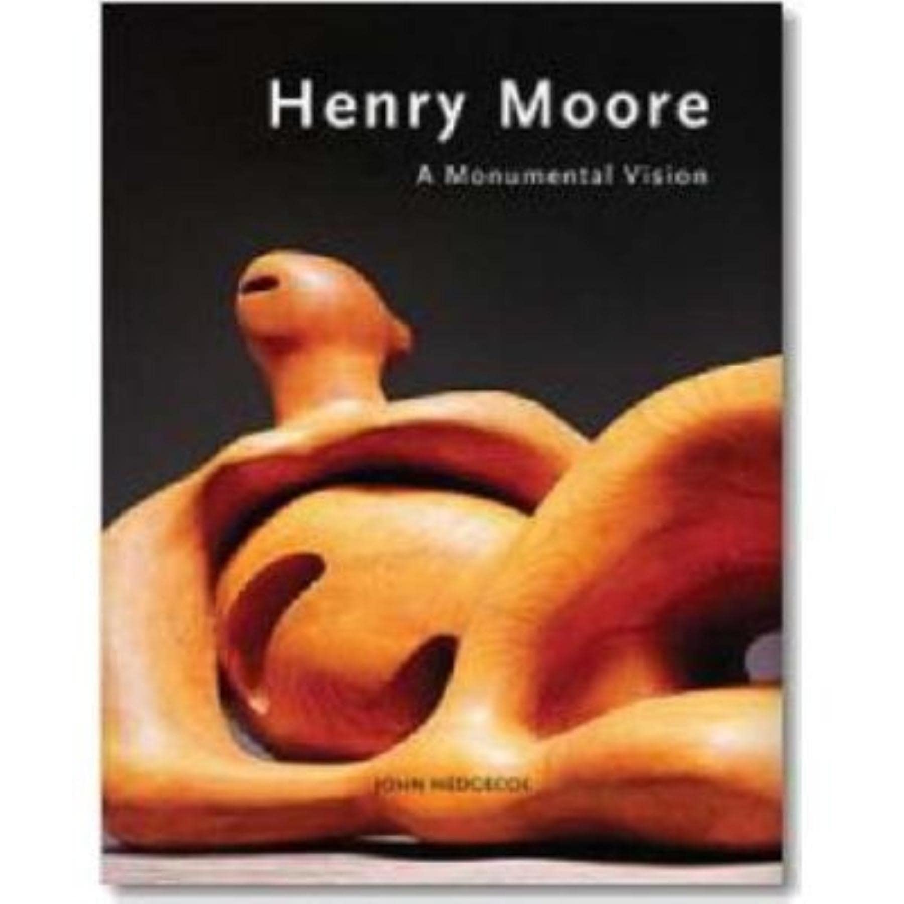 Henry Moore: A Monumental Vision,Used
