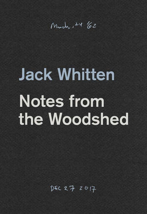 Jack Whitten: Notes From The Woodshed