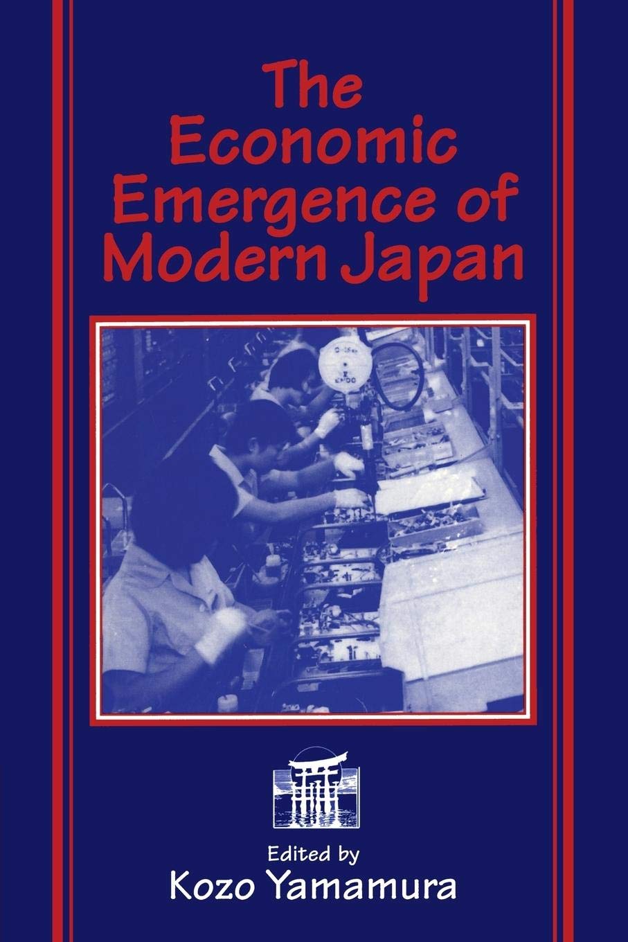 The Economic Emergence of Modern Japan,Used
