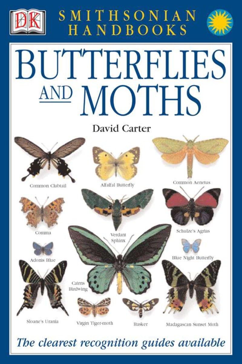 Butterflies & Moths: The Clearest Recognition Guide Available (DK Smithsonian Handbook),Used