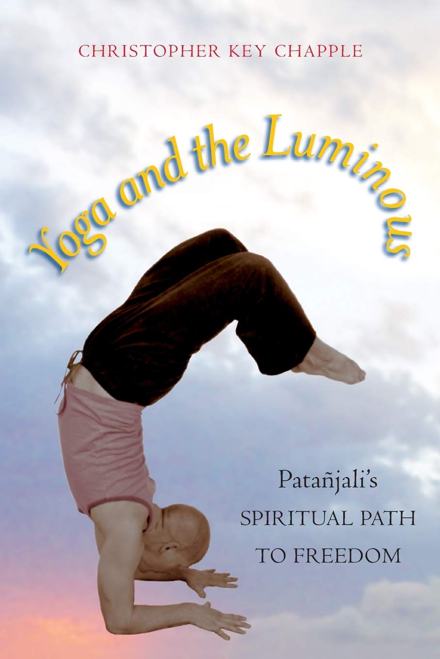 Yoga and the Luminous: Patajali's Spiritual Path to Freedom,Used