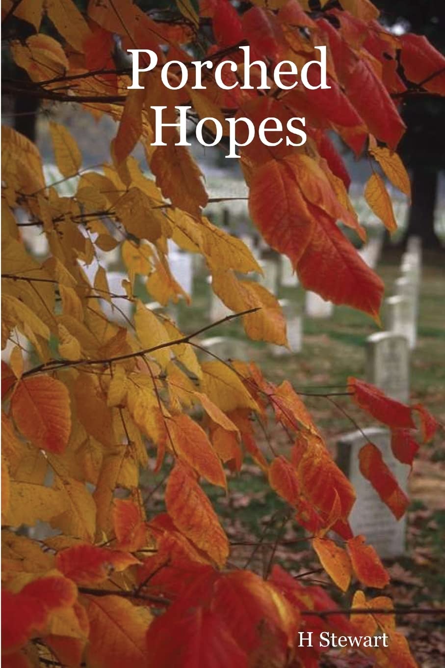 Porched Hopes,Used