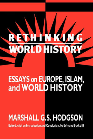 Rethinking World History: Essays on Europe, Islam and World History (Studies in Comparative World History),New