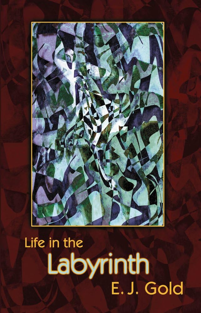 Life in the Labyrinth (Labyrinth Trilogy, 2),Used