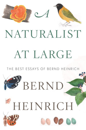 A Naturalist At Large: The Best Essays of Bernd Heinrich,Used