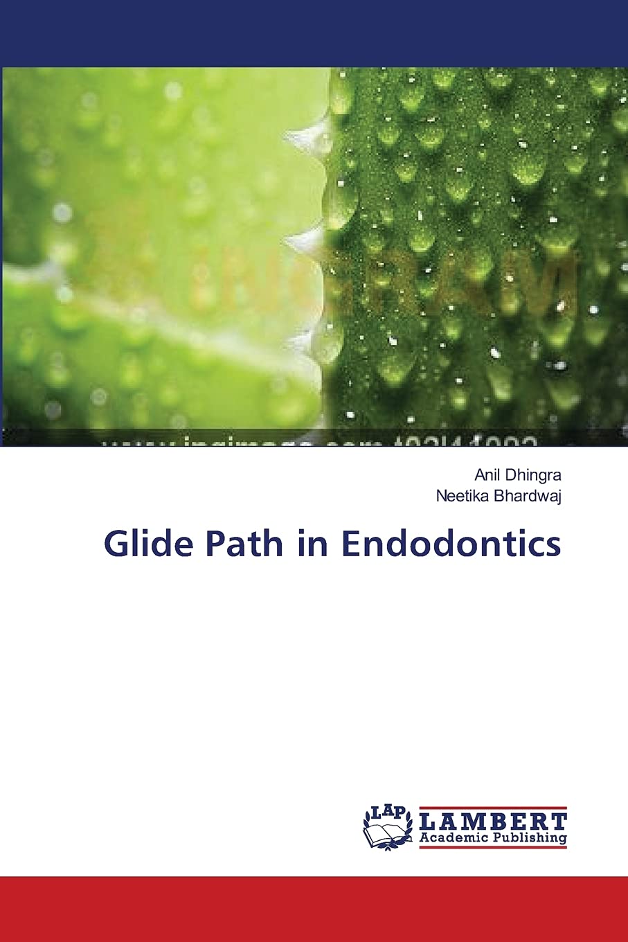 Glide Path in Endodontics,Used