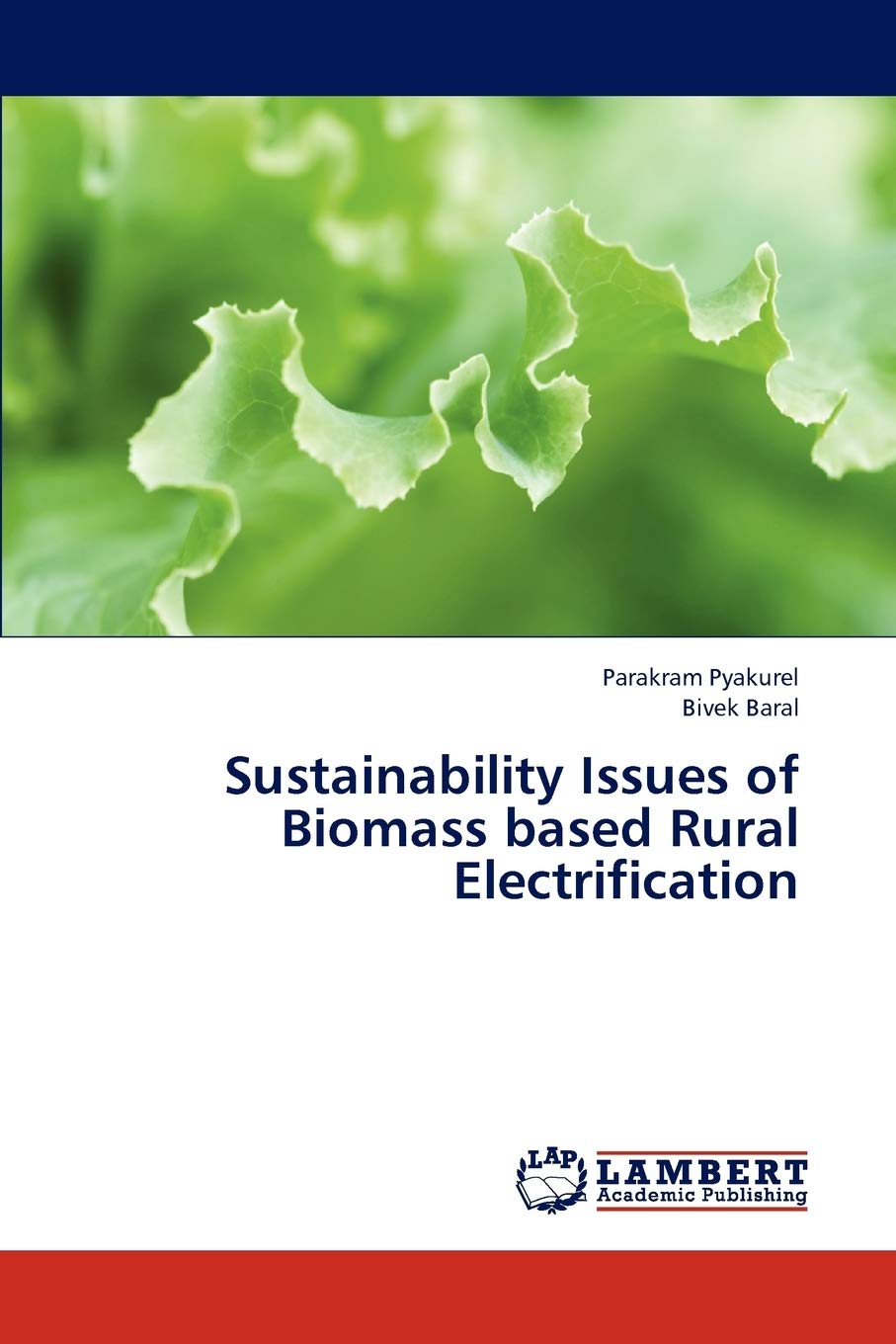 Sustainability Issues of Biomass based Rural Electrification,Used