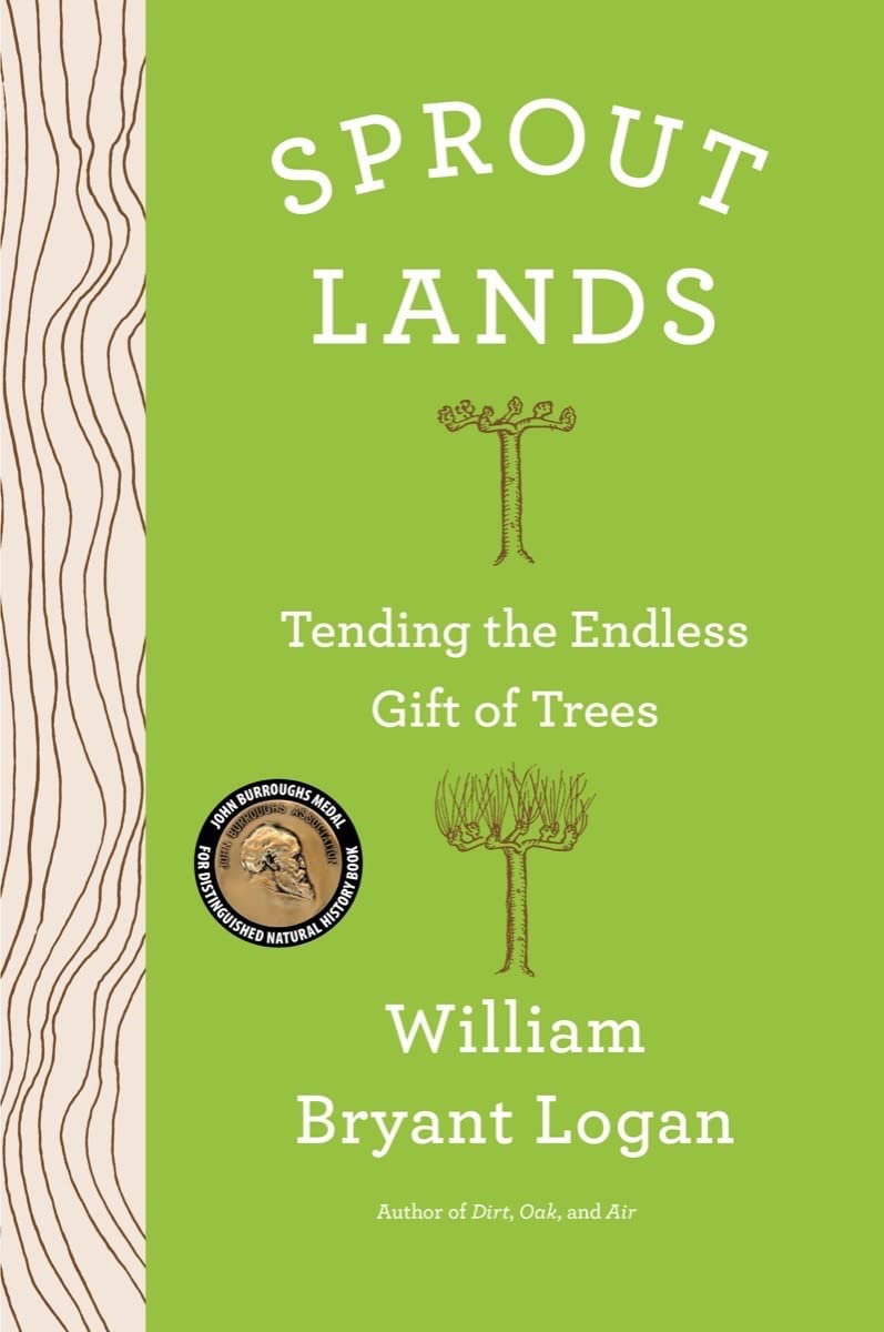 Sprout Lands: Tending The Endless Gift Of Trees