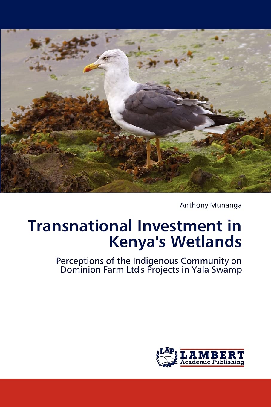 Transnational Investment in Kenya's Wetlands: Perceptions of the Indigenous Community on Dominion Farm Ltd's Projects in Yala Sw,Used