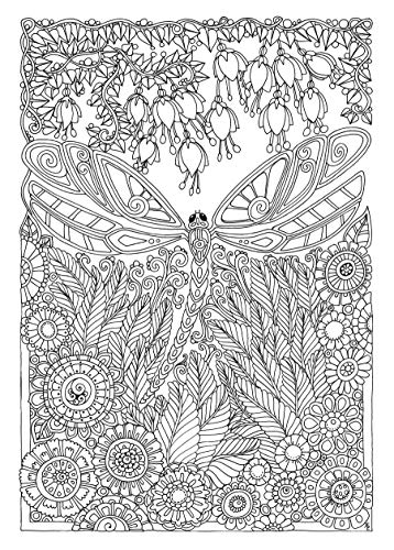 Creative Haven Entangled Dragonflies Coloring Book (Adult Coloring Books: Insects),Used