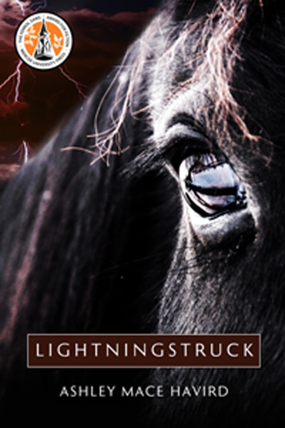 Lightningstruck,Used