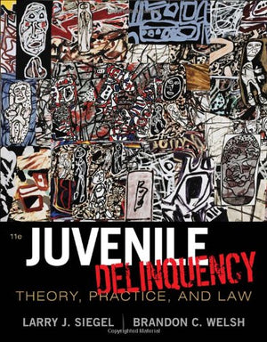 Juvenile Delinquency: Theory, Practice, and Law,Used