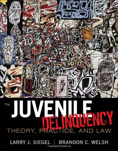 Juvenile Delinquency: Theory, Practice, and Law,Used