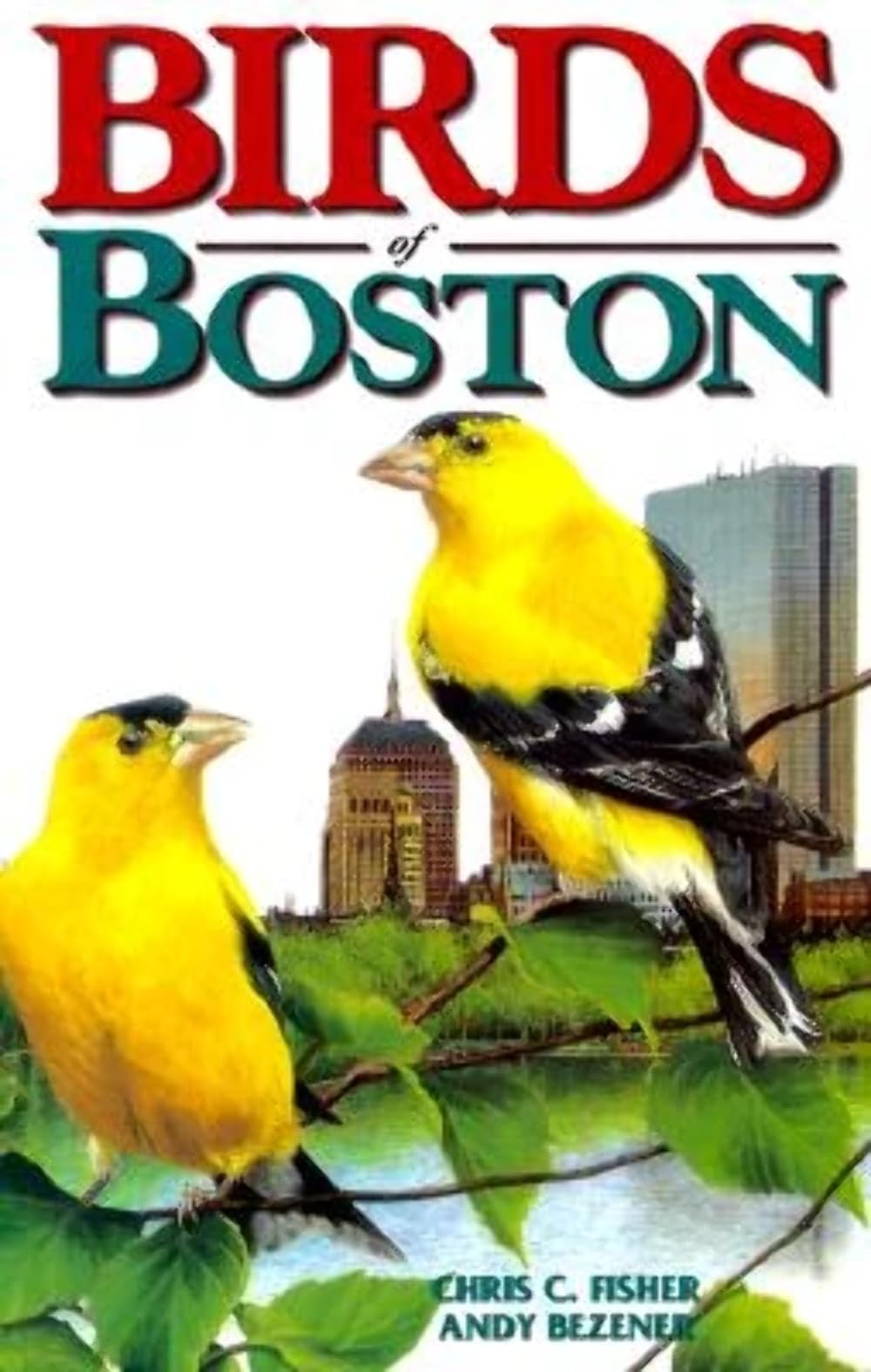 Birds of Boston (City Bird Guides),Used