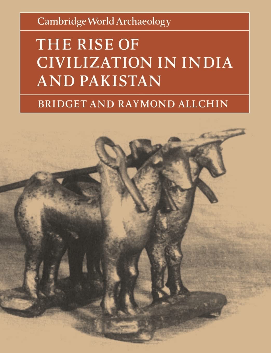 The Rise Of Civilization In India And Pakistan (Cambridge World Archaeology),New