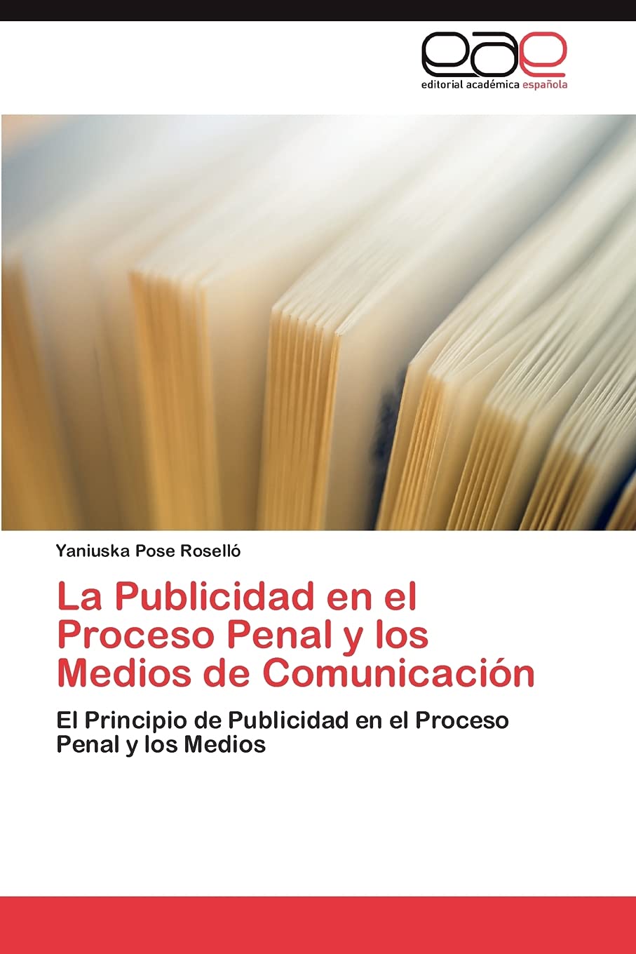 La Publicidad en el Proceso Penal y los Medios de Comunicacin: El Principio de Publicidad en el Proceso Penal y los Medios (Sp,Used