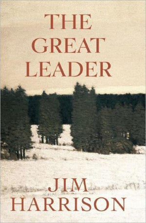 The Great Leader: A Faux Mystery,Used