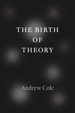 The Birth of Theory,Used