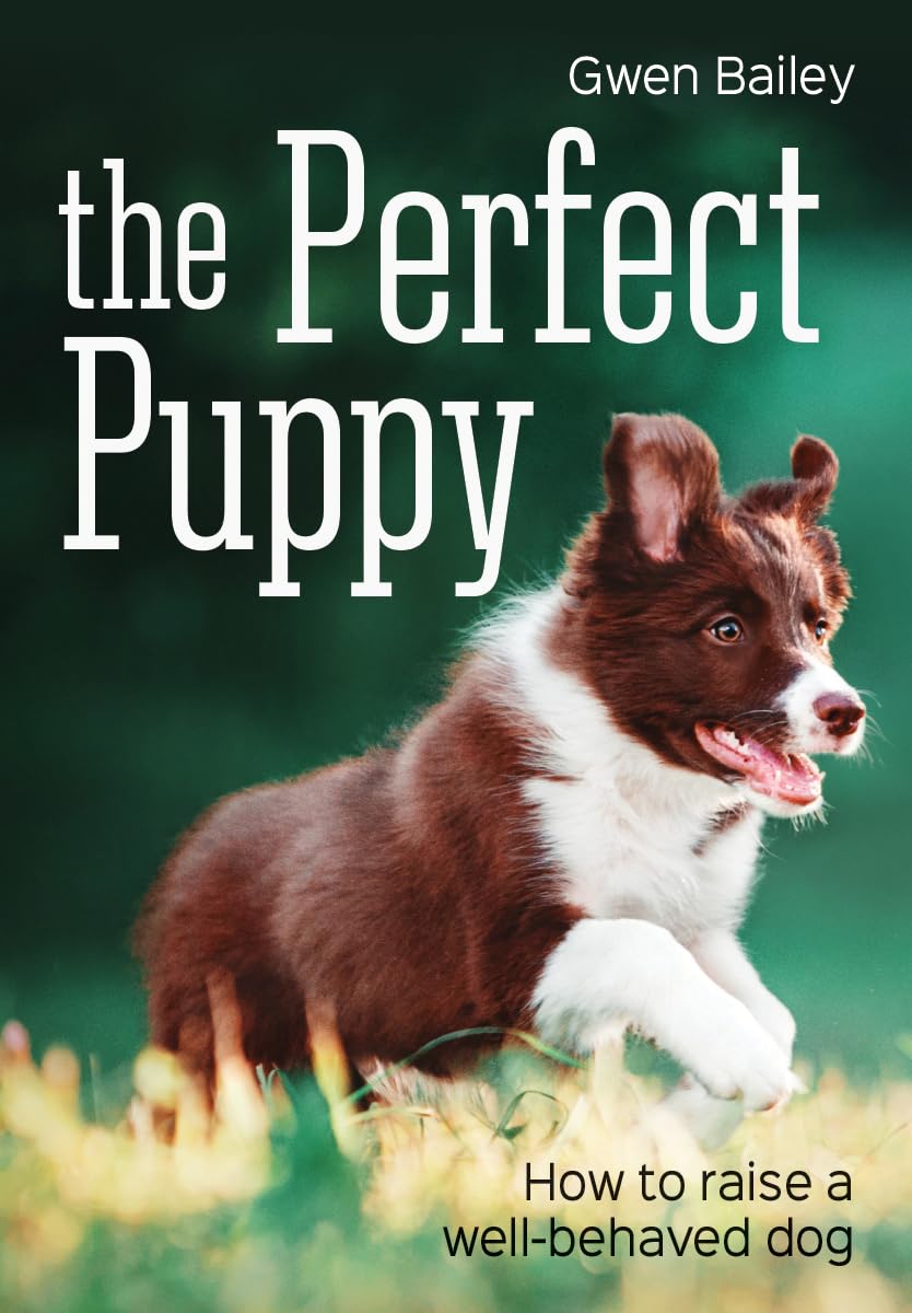 The Perfect Puppy,Used