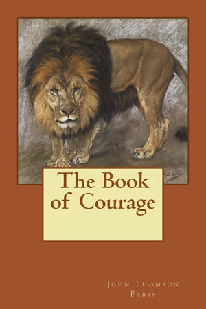 The Book of Courage,Used