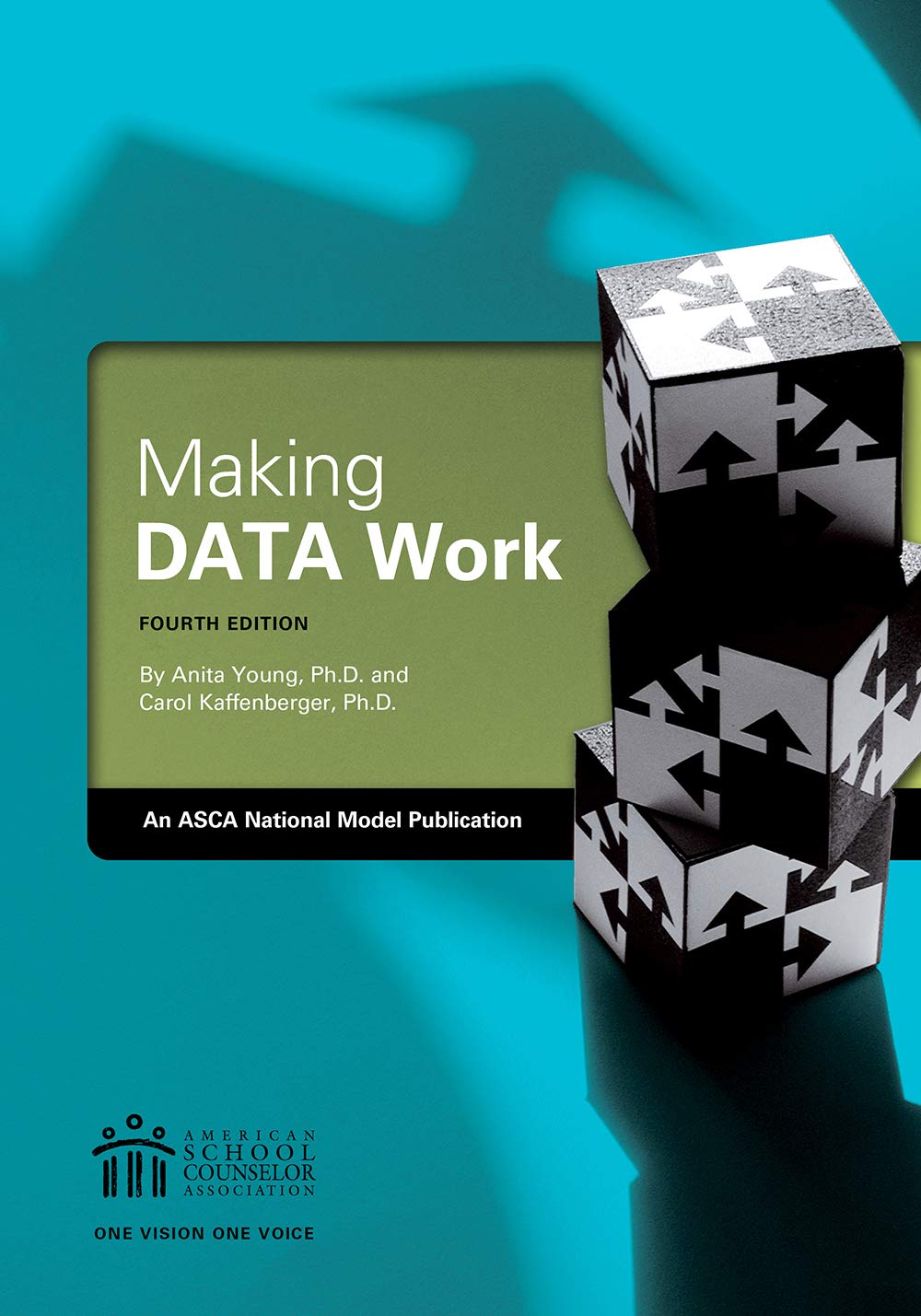 Making DATA Work: An ASCA National Model Publication,New
