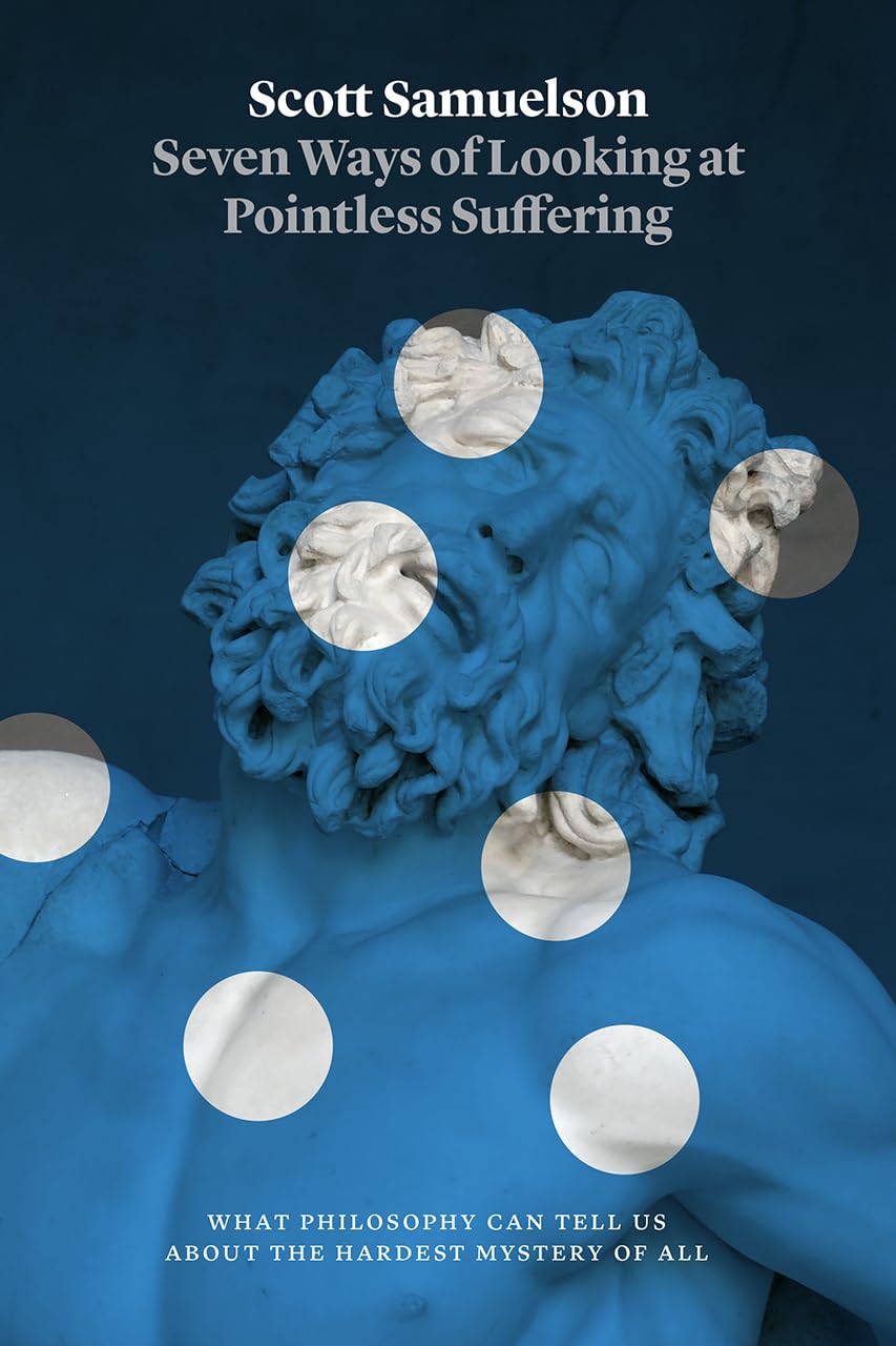 Seven Ways of Looking at Pointless Suffering: What Philosophy Can Tell Us about the Hardest Mystery of All,Used